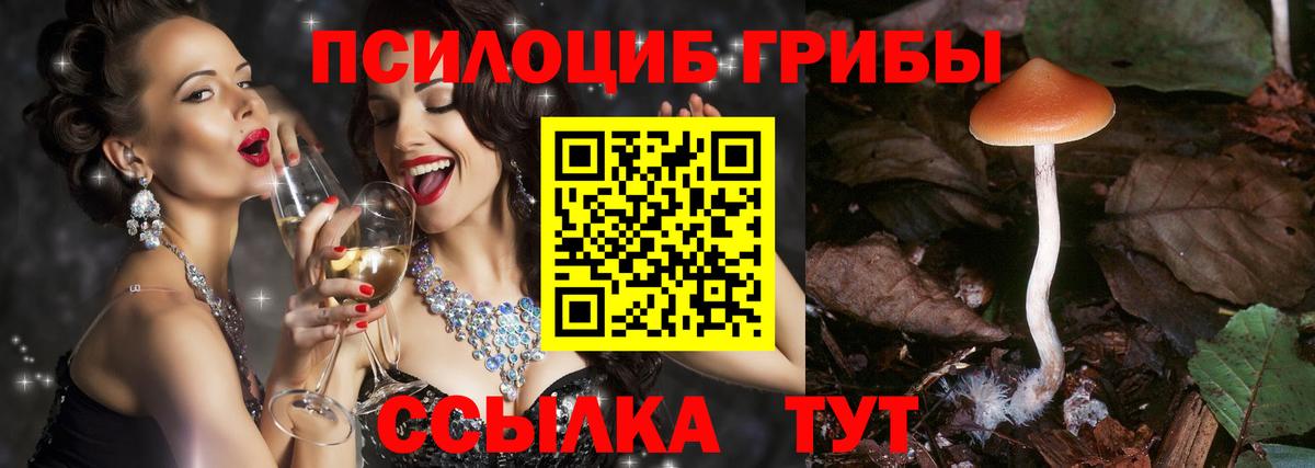 Галлюциногенные грибы MAGIC MUSHROOMS  Вход с VPN  купить наркотик  Кохма 